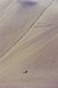 China: A visitor takes a sand sledge down the singing sand dunes of Mingsha Shan (Mingsha Hills) in the Kumtagh Desert, Gansu Province